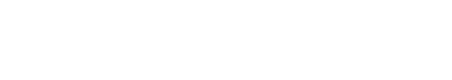 FullLogoWhite